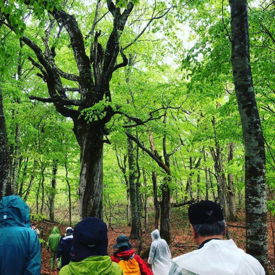 Tadami Mori No Bunkou Fuzawa - Vacation Stay 92943V מראה חיצוני תמונה